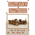 Healthy Glen of Imaal Terriers: How To Take Care Of Them, Training Tips: Treatment For Glen Of Imaal Terriers