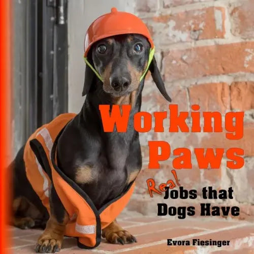 Working Paws: Real Jobs that Dogs Have