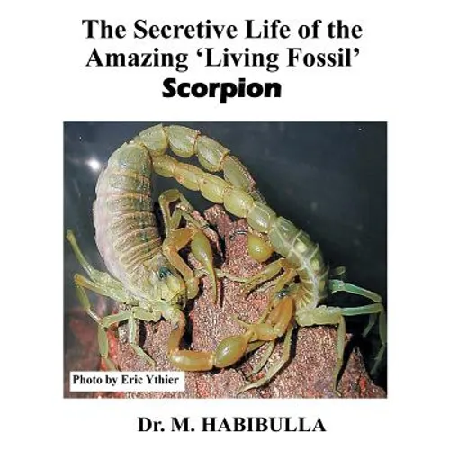 The Secretive Life of the Amazing 'Living Fossil' Scorpion