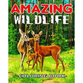Amazing WildLife Coloring Book: A Relaxing Coloring Book for Adults with Amazing Wild Animals, Forest, Wildlife, Nature and Beautiful Stress Relief De