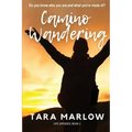 Camino Wandering