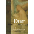 Dust: The Archive and Cultural History