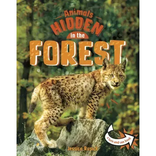 Animals Hidden in the Forest