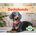 Dachshunds