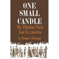 One Small Candle: The Pilgrims' First Year in America