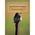 Rare Encounters with Ordinary Birds