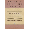 Geese - Breeding, Rearing and Management