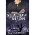 The Shadow Prison