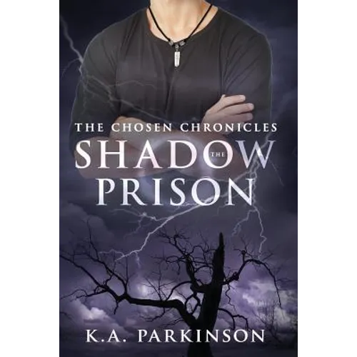 The Shadow Prison