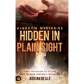 Kingdom Mysteries: Hidden in Plain Sight: Your Invitation to Access and Release Heaven's Provision