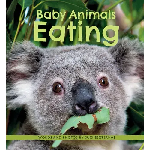Baby Animals Eating