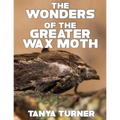 The Greater Wax Moth: Do Your Kids Know This? A Children's Picture Book