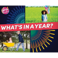What's in a Year?
