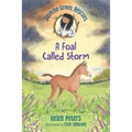 Jasmine Green Rescues: A Foal Called Storm