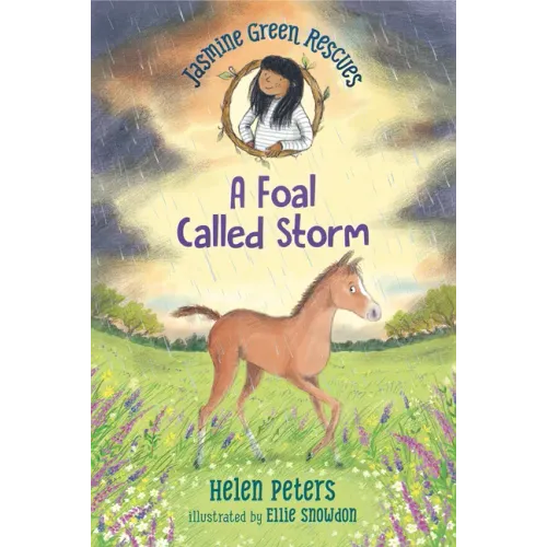 Jasmine Green Rescues: A Foal Called Storm