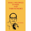 Small Holdings in India and their Remedies