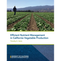 Efficient Nutrient Management in California Vegetable Production