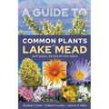 A Guide to Common Plants of Lake Mead National Recreation Area