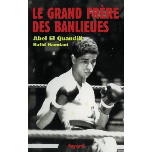 Le grand frère des banlieues