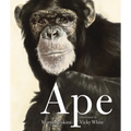 Ape
