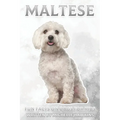 Maltese: Fun Facts on Dogs for Kids #31