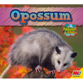 Opossum