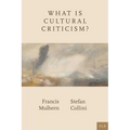 What Is Cultural Criticism?