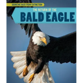 The Return of the Bald Eagle