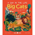 Big Cats (a Day in the Life): What Do Lions, Tigers, and Panthers Get Up to All Day?