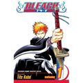 Bleach, Vol. 1
