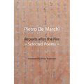 Reports after the Fire: Selected Poems