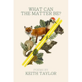 What Can the Matter Be?