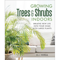 Growing Trees and Shrubs Indoors: Breathe New Life Into Your Home with Large Plants
