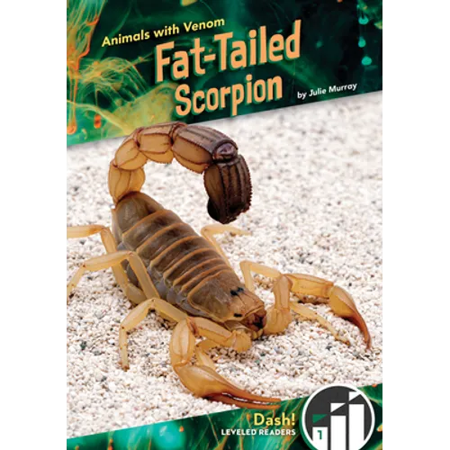 Fat-Tailed Scorpion