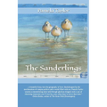 The Sanderlings