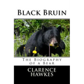 Black Bruin