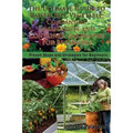 The Ultimate Guide To Raised Bed, Vegetable, Companion, Greenhouse And Container Gardening For Beginners: Proven Steps and Strategies for Beginners