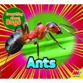 Ants
