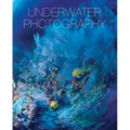 Underwater Photography: By Vincenzo Paolillo