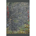 The Wall
