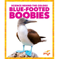 Blue-Footed Boobies