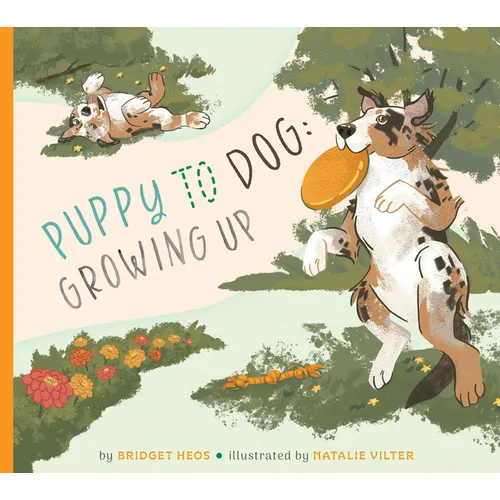 Puppy to Dog: Growing Up