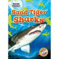 Sand Tiger Sharks