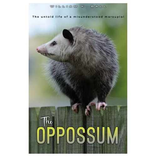 The Oppossum: The Untold Life of a Misunderstood Marsupial