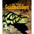 Salamanders