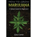 How to Grow Marijuana: A Simple Guide for Beginners