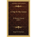 A Trip To The Azores: Or Western Islands (1867)