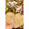 Stopping By My Heart on a Fearless Day My Authentic Expression