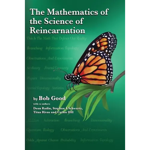 The Mathematics of the Science of Reincarnation: The Matrix of Consciousness