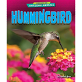 Hummingbird